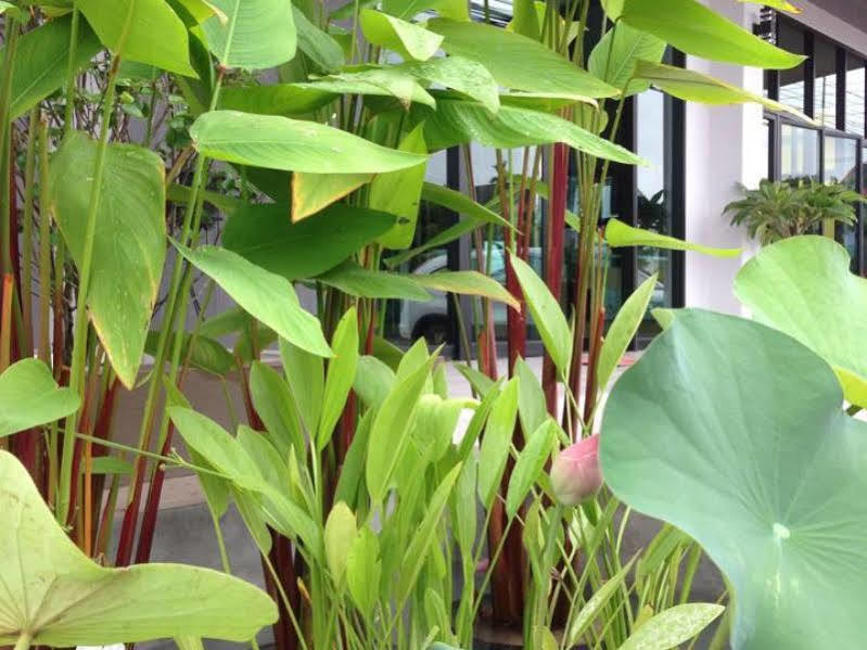 Bird Day Boutique Hotel Mukdahan Exteriör bild