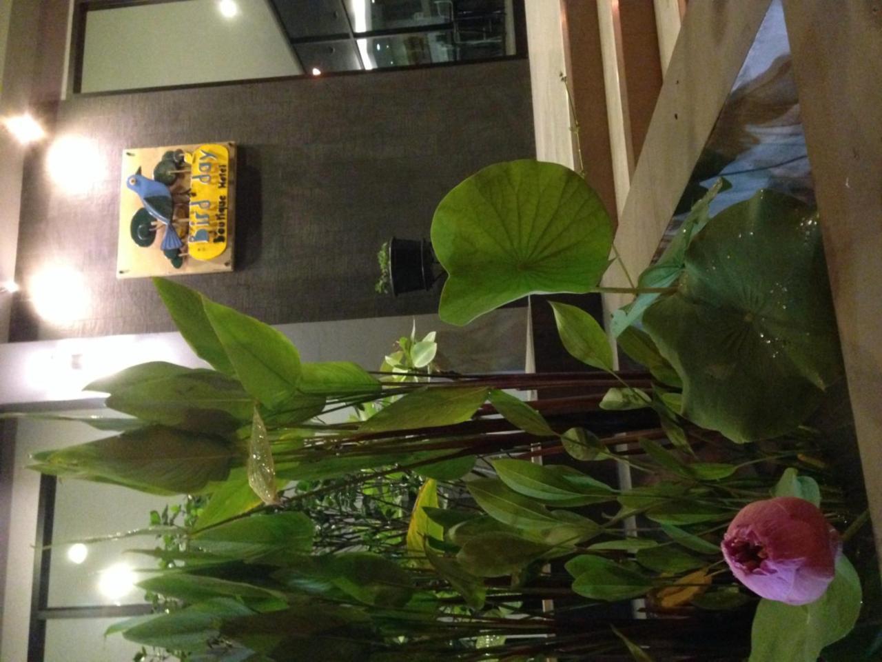Bird Day Boutique Hotel Mukdahan Exteriör bild